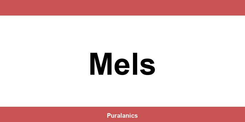 Melectronics (MediaMarkt) Filialen in Mels
